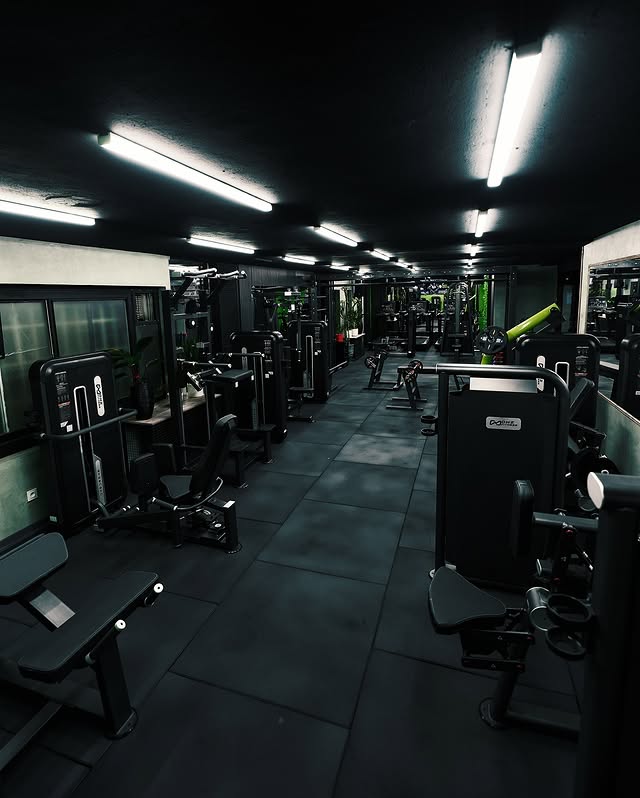 گالری