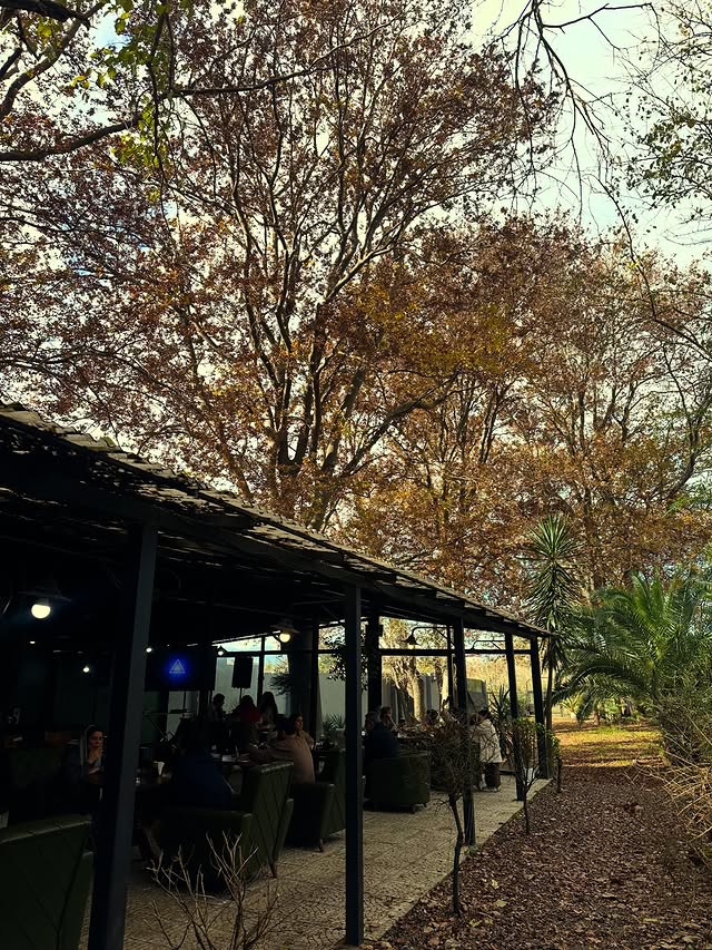 کافه کوجی برگر
