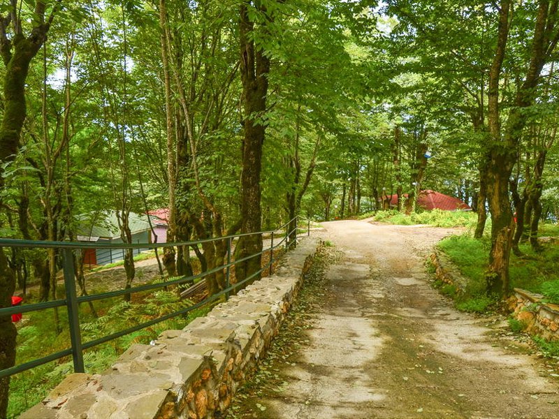 گالری