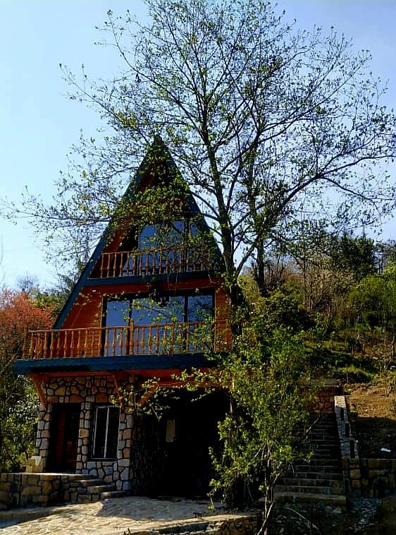 گالری