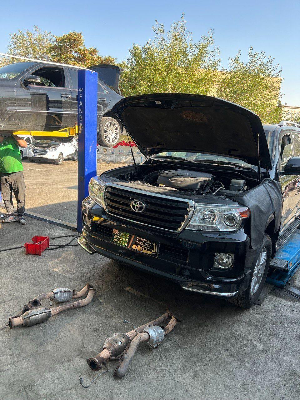 مستر کاتالیست