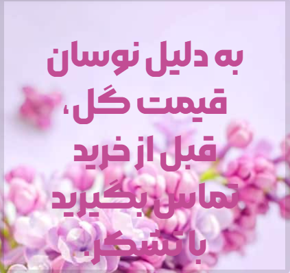 گلکده شقایق