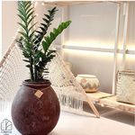 گلخانه و گالری گل و گیاه چرو ( حضوری و آنلاین)