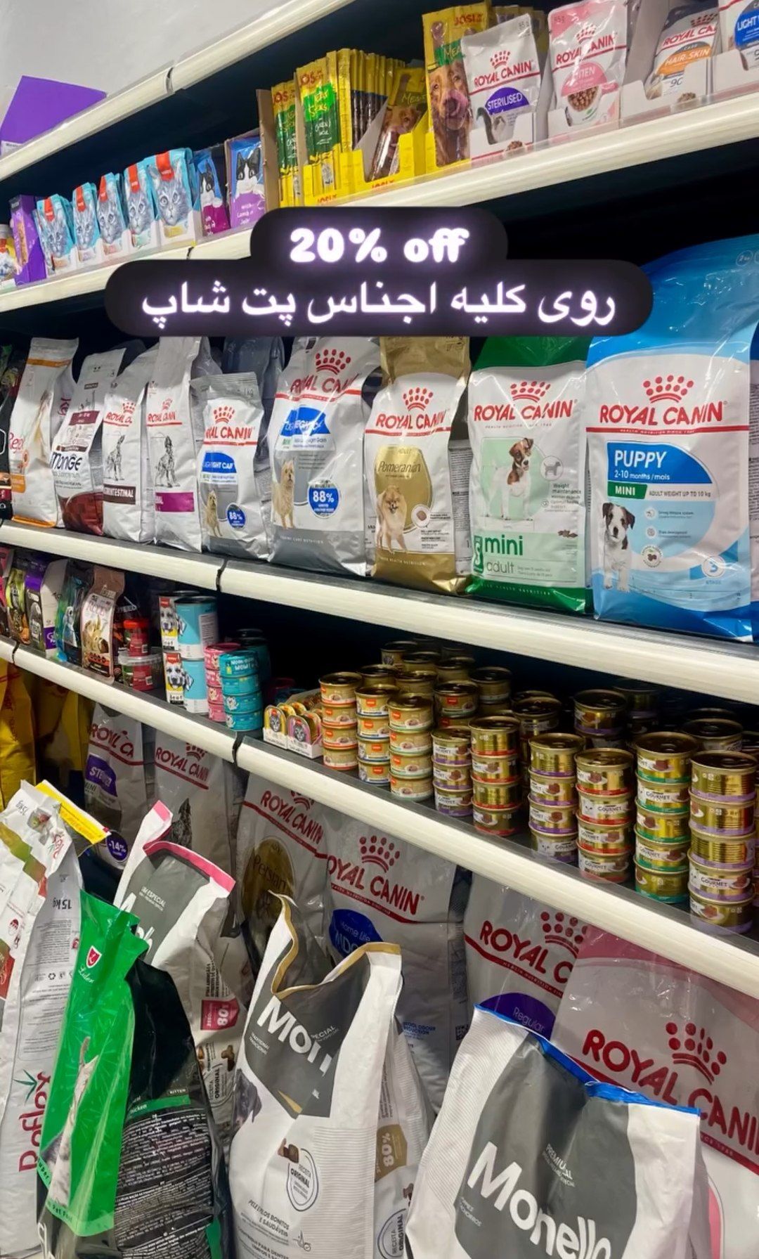 گالری