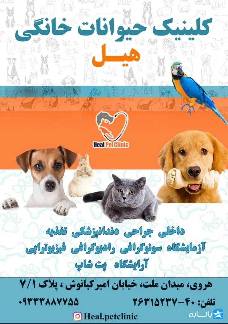 کلینیک دامپزشکی هیل