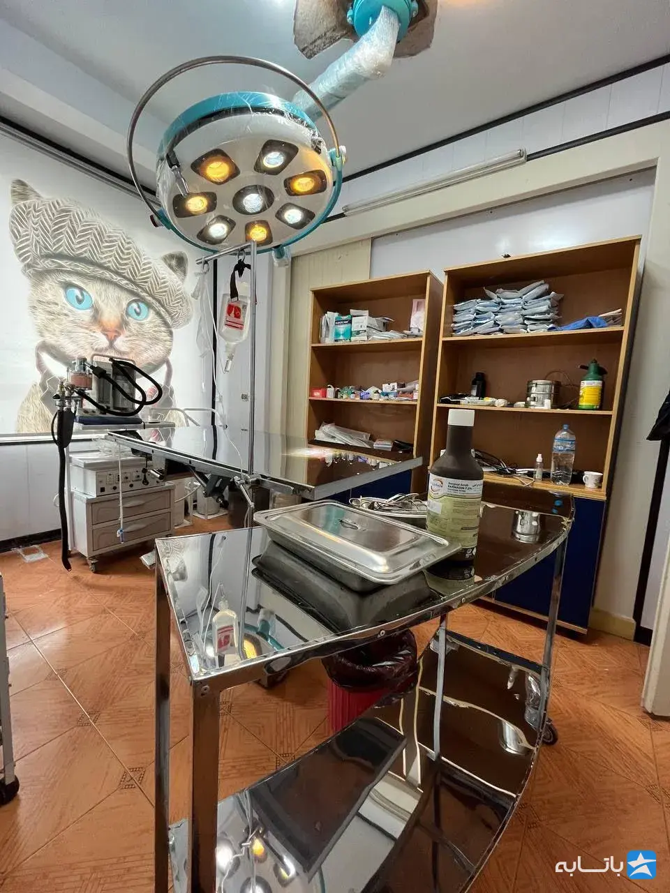 کلینیک دامپزشکی رکس