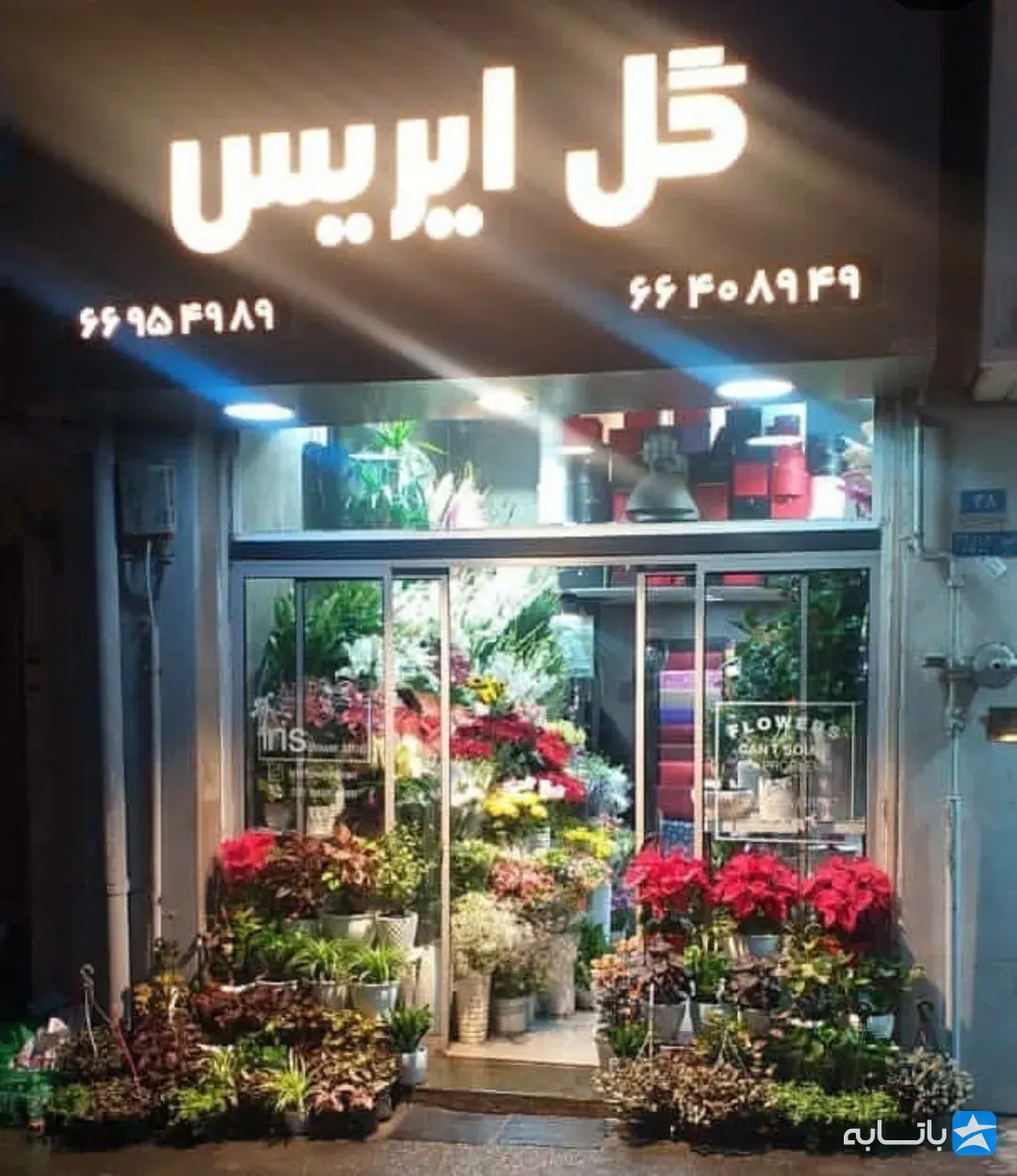 گالری