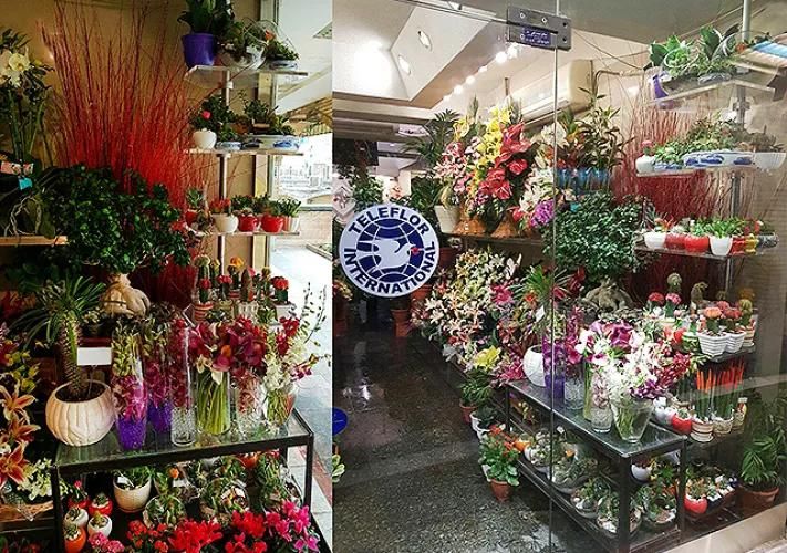 گلفروشی پالیز