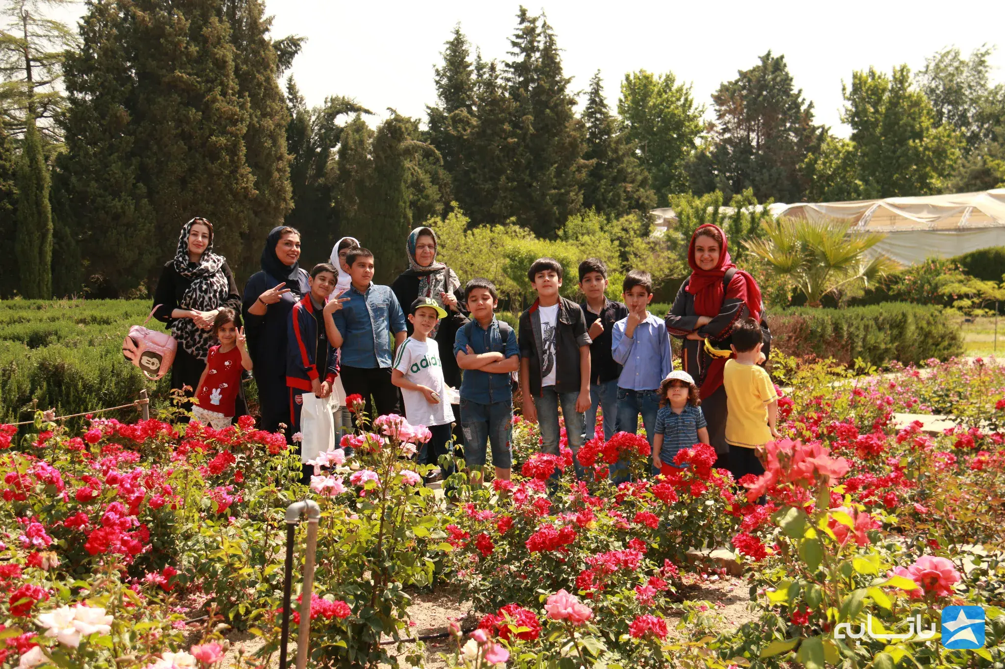 گالری