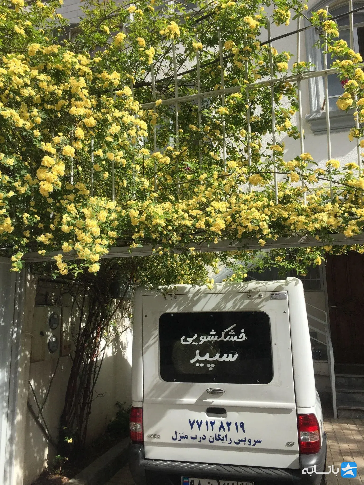 خشکشویی سپید تهرانپارس