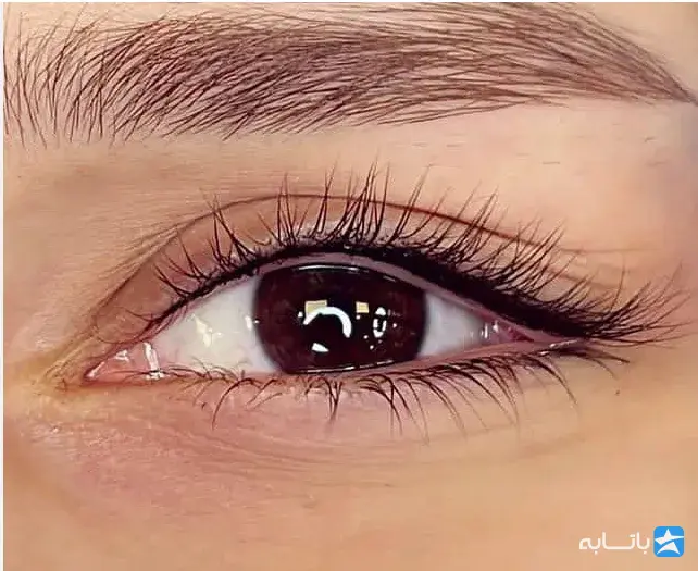 سالن خاتون