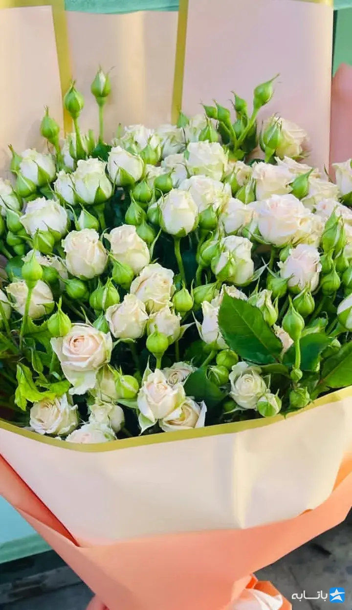گل و گیاه علی گلی
