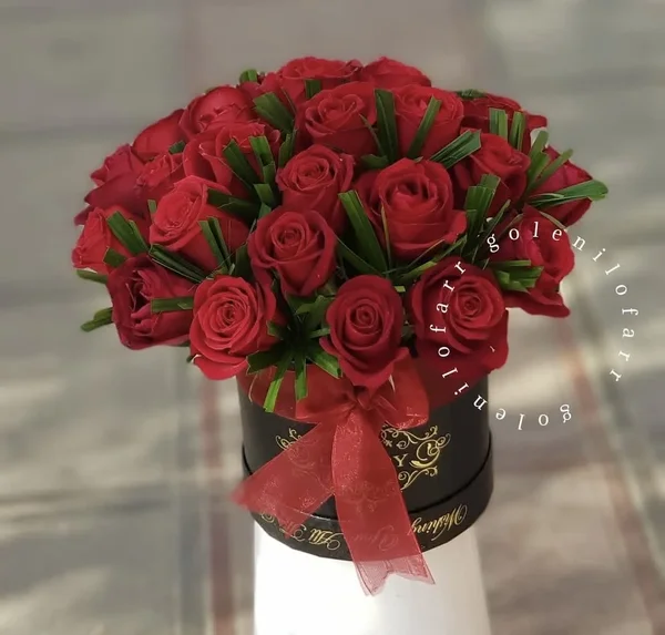 پخش گل نیلوفر