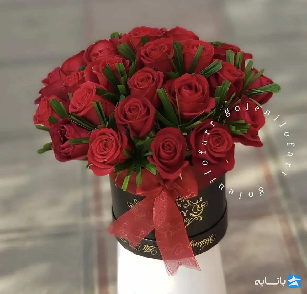 پخش گل نیلوفر