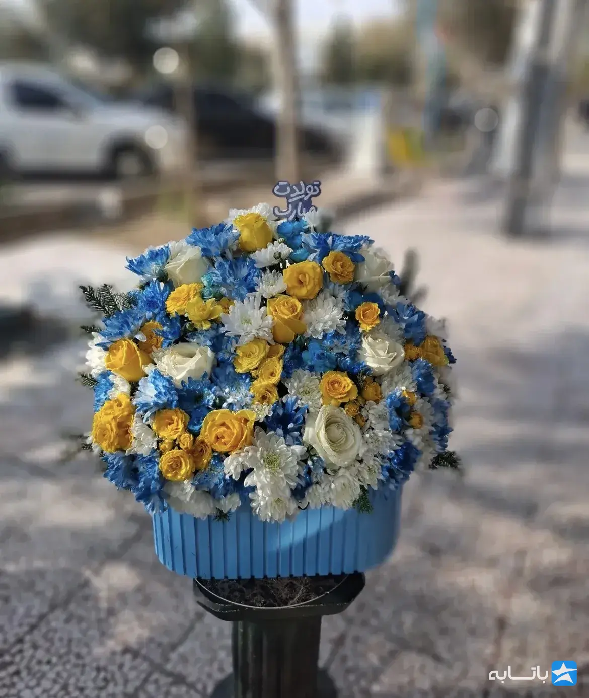 گلفروشی گل زنبق