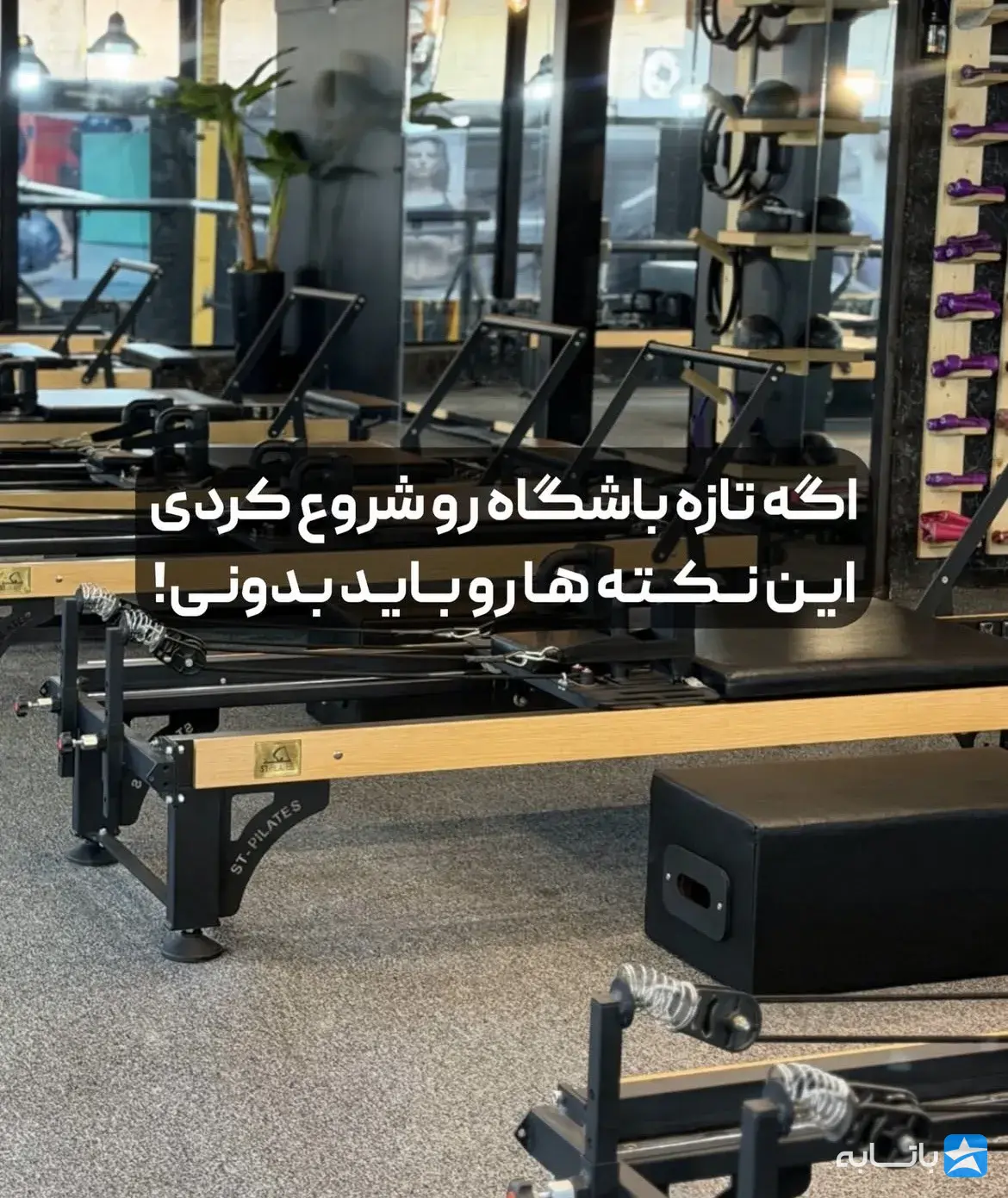 بیذبذ