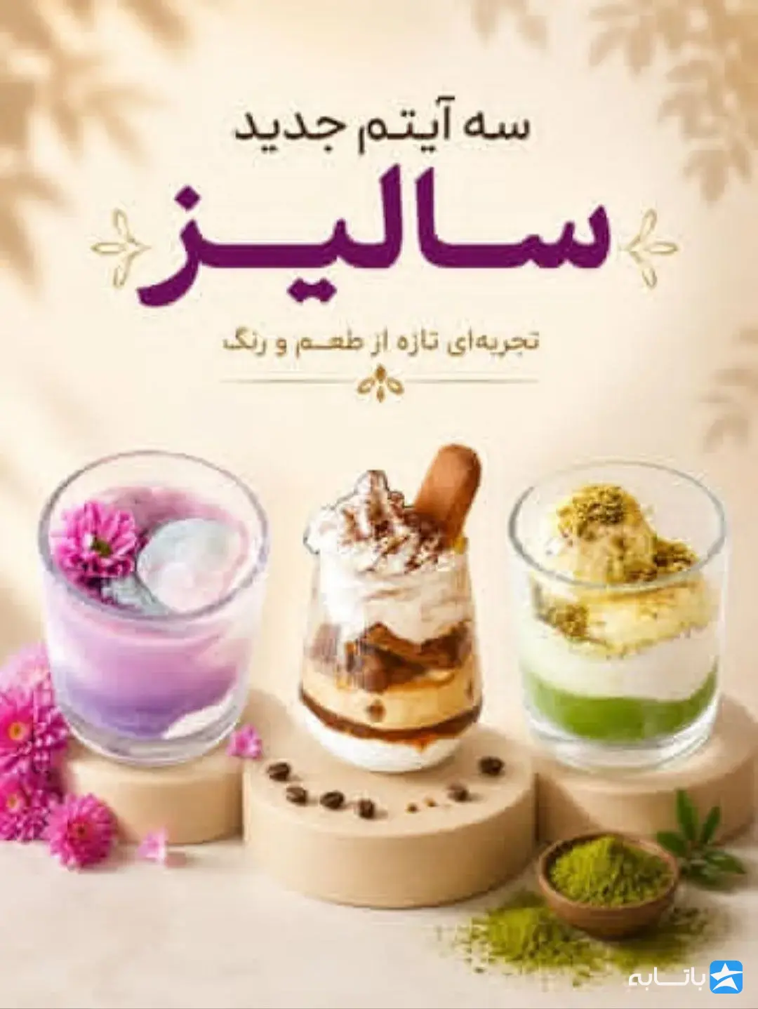 رستوران سالیز