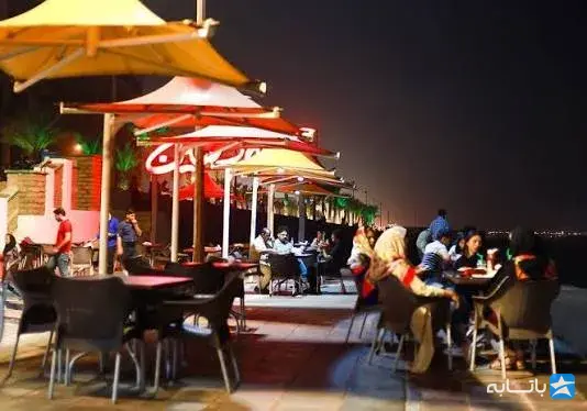 کافه دلفین