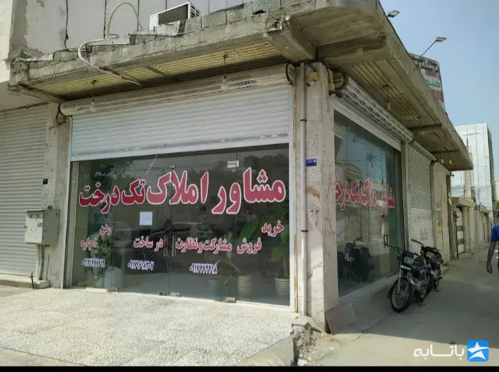 مشاور املاک تک درخت