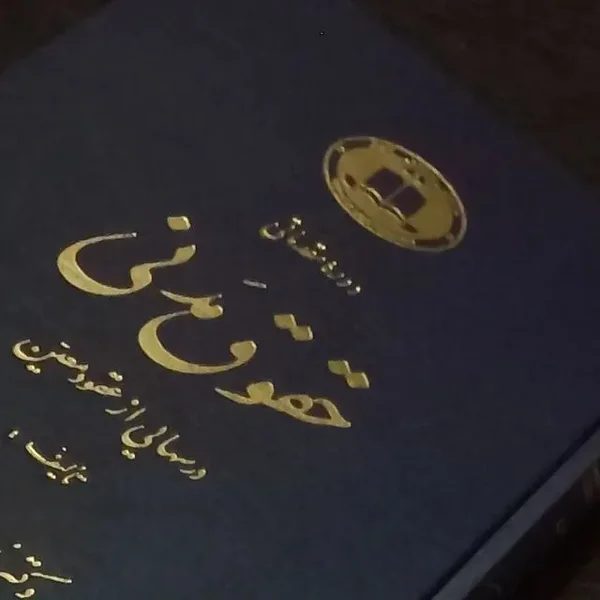 وکیل لیلا حسینی ایمنی